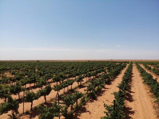 Farm for sale in Terry, Texas