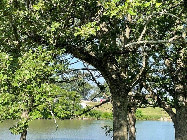 Land for sale in Corning, Iowa