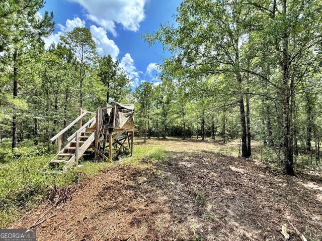 Land for sale in Roberta, Georgia