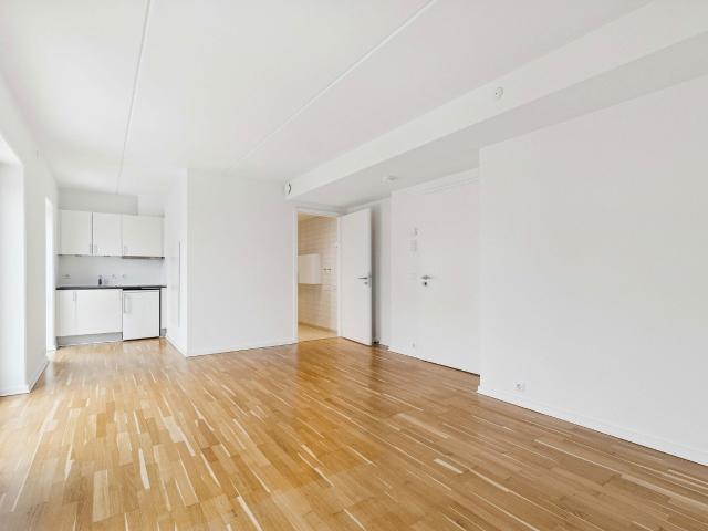 Lejlighed til leje i København, Brøndby