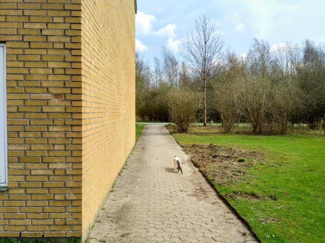 Ejendom til leje i Over Holluf, Odense