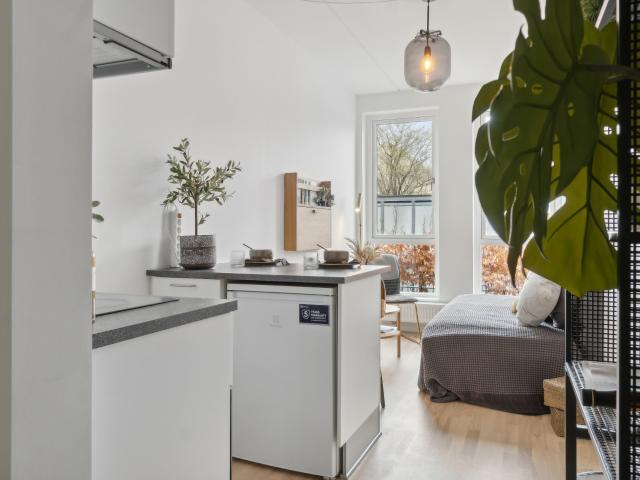 Hus til leje i Ballerup, Ballerup Kommune