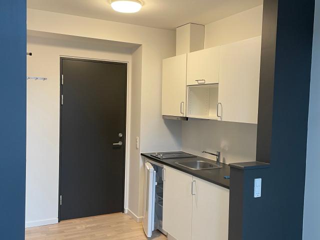 Lejlighed til leje i Nørrebro, København