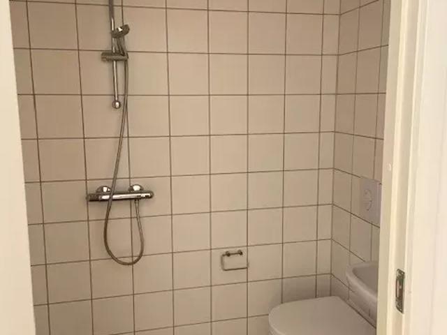 Lejlighed til leje i Nørrebro, København