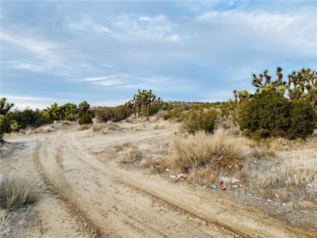 Land for sale in Palmdale