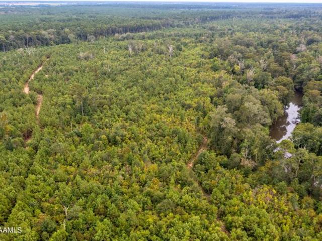 Farm for sale in Evangeline, Louisiana