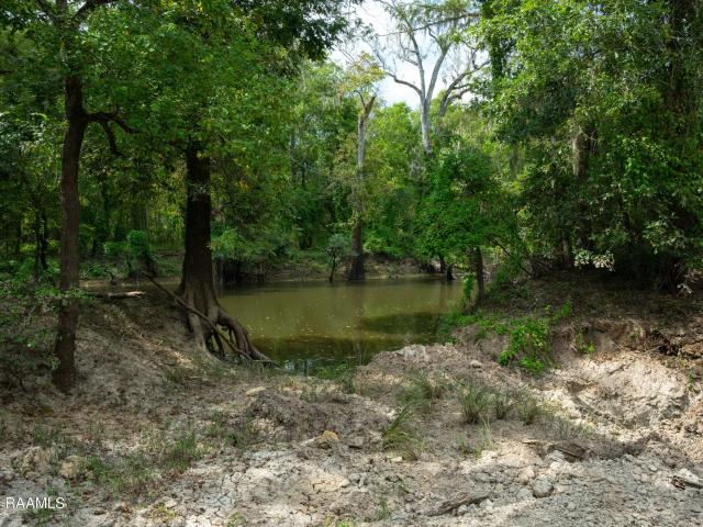 Property for sale in Basile, Louisiana