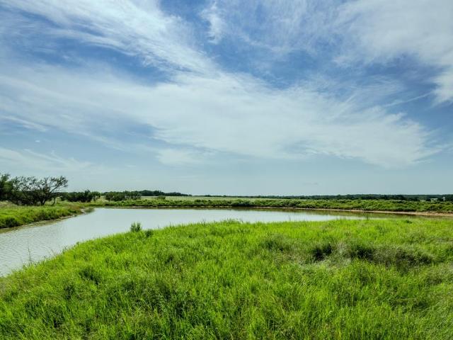 Land for sale in Clay, Texas