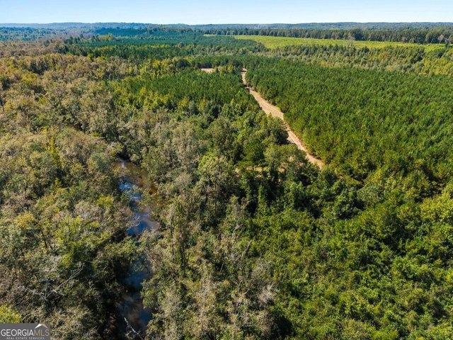 Land for sale in Ideal, Macon County