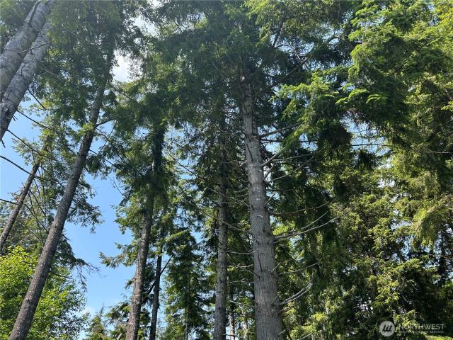 Land for sale in Chinook, Washington