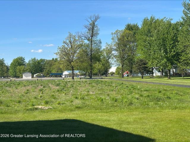Land for sale in Gratiot, Michigan