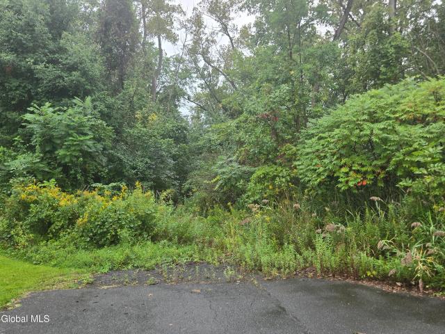 Land for sale in Colonie, New York