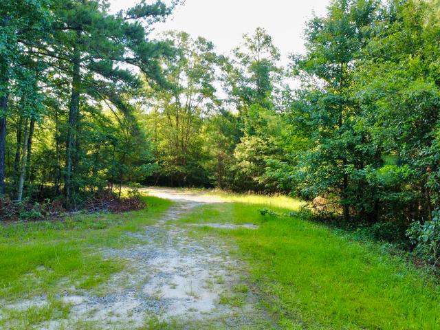 Land for sale in Bowman, South Carolina
