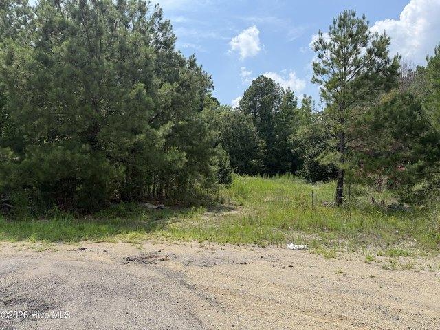 Land for sale in Rocky Mount, North Carolina