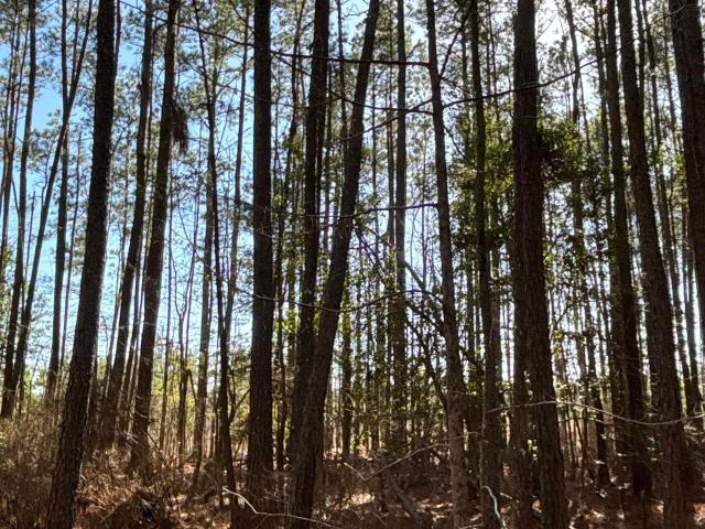 Land for sale in Ark
