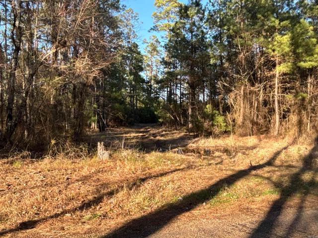 Land for sale in Ark