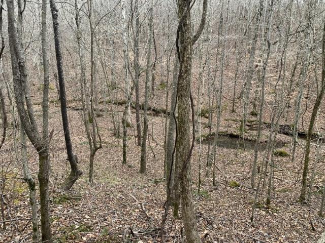 Land for sale in Iron City, Middle Tennessee