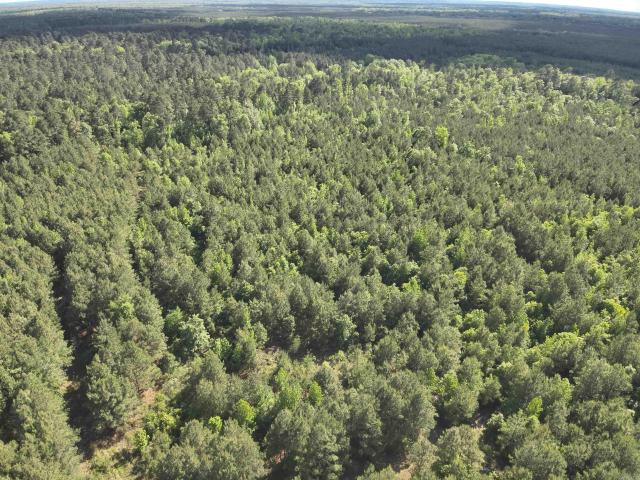 Land for sale in Ark