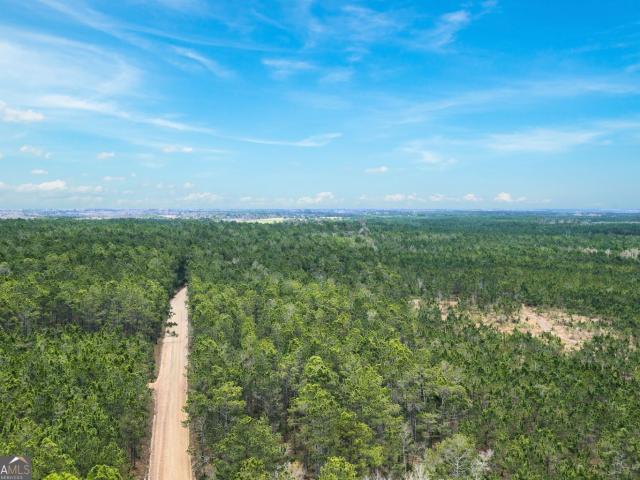 Land for sale in Odum, Georgia