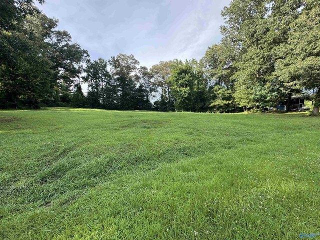 Land for sale in Danville, Alabama
