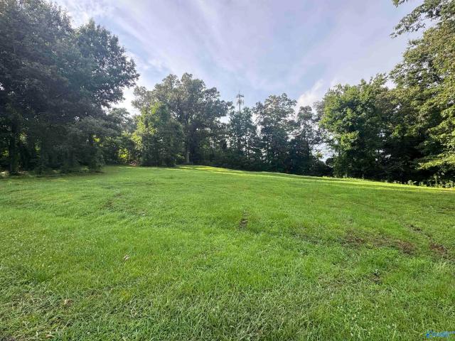 Land for sale in Danville, Alabama