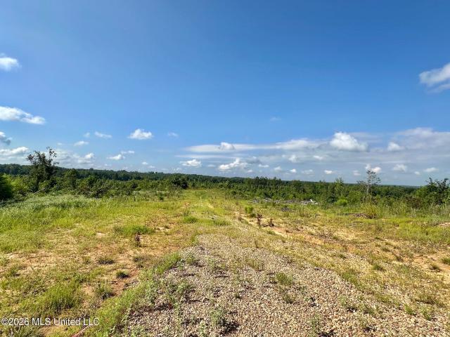 Land for sale in Mantee, Mississippi