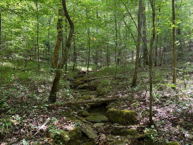 Land for sale in Oakman, Alabama