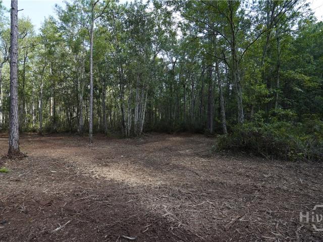 Land for sale in Guyton, Georgia
