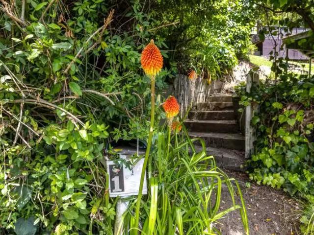 House for sale in Owhata