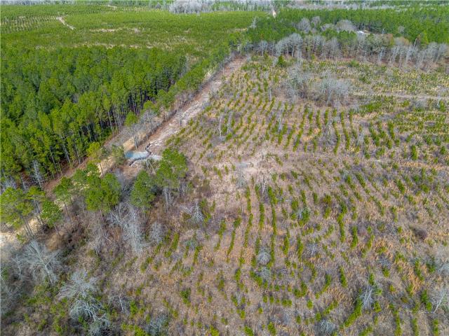 Property for sale in Dodge, Georgia