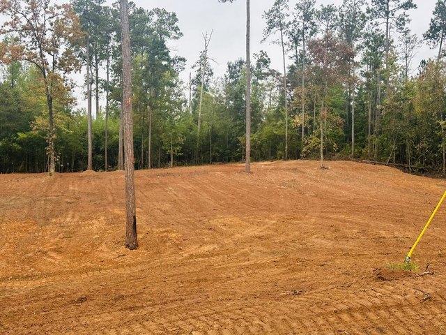 Land for sale in Abbeville, Henry County