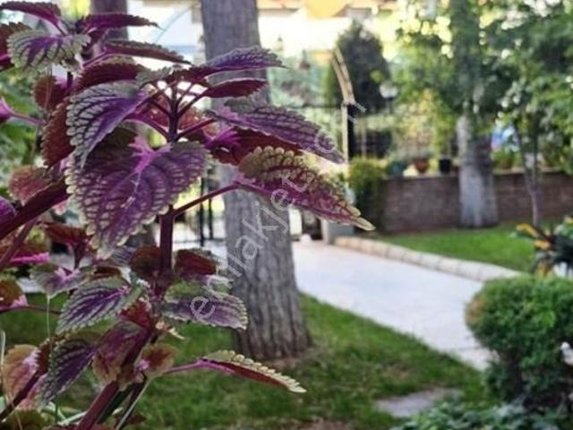 Hallaçlar, Merkezefendi içerisinde satılık Villa