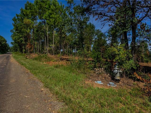 Land for sale in Pickens, Georgia
