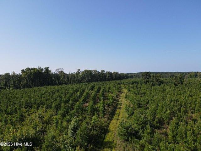 Land for sale in Sparta, Georgia