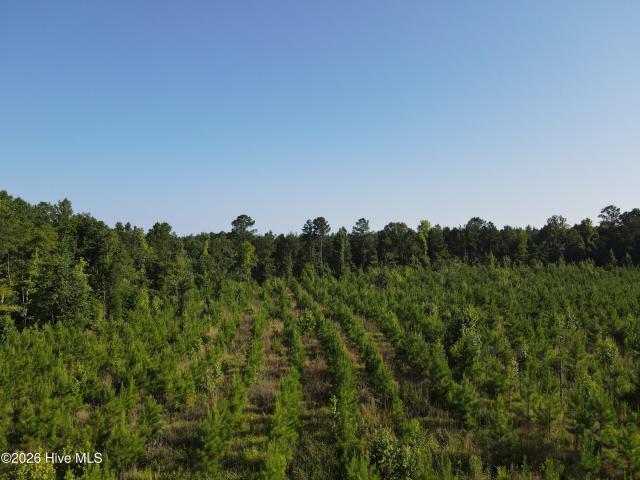 Land for sale in Sparta, Georgia