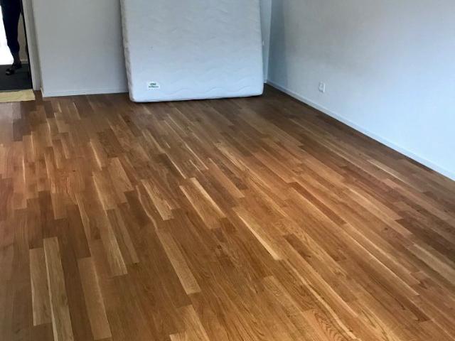 Apartment mieten in Spitalacker, Bern