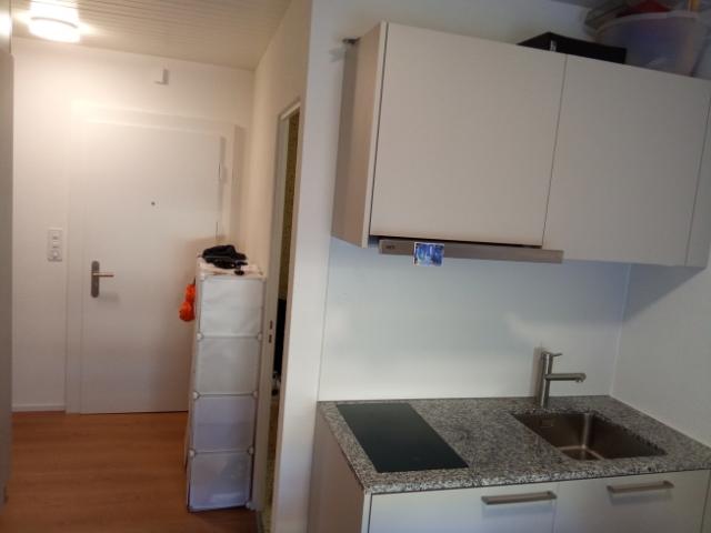 Wohnung mieten in Luzern, Lü
