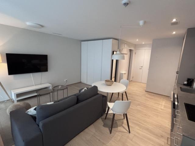 Wohnung mieten in Neuhausen am Rheinfall, Neuhausen