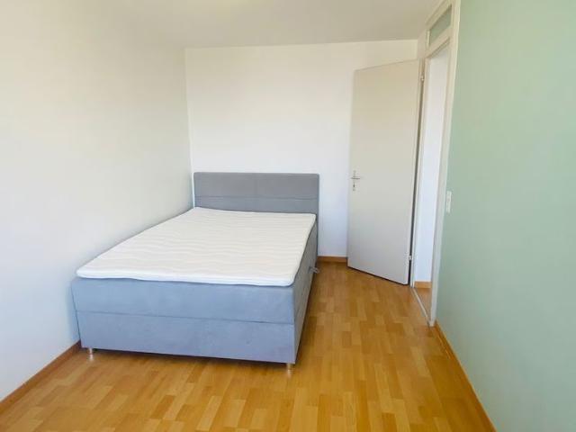 Apartment mieten in Zentrum Staldenbach, Freienbach