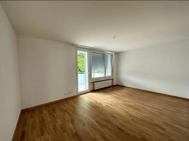 Apartment mieten in Büchel, Adliswil