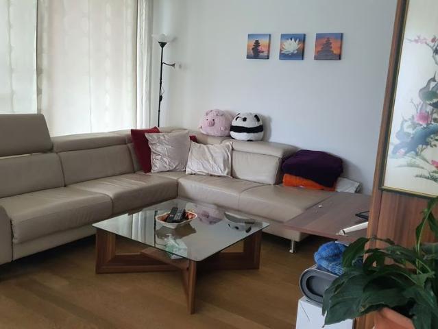 Apartment mieten in Glattbrugg, Opfikon