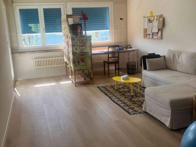 Haus mieten in Brugg (AG), Aargau