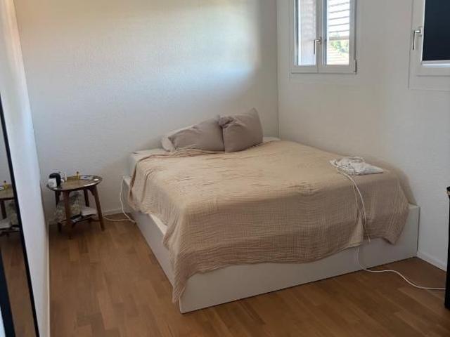 Apartment mieten in Winterthur, Zürich