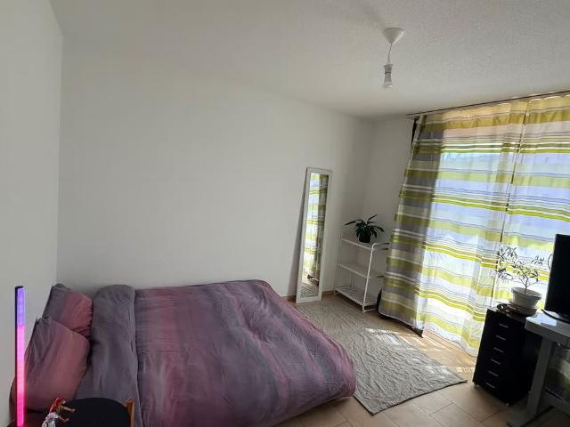 Apartment mieten in Schlieren, Bezirk Dietikon