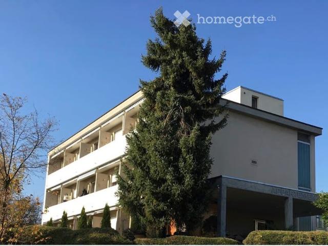 Apartment mieten in Meilen, Zürich