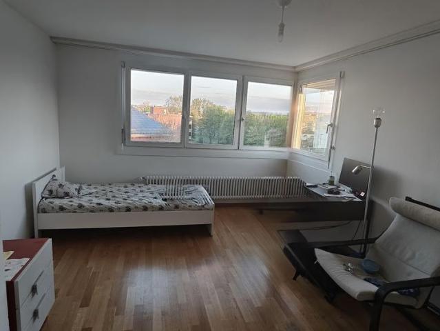 Apartment mieten in Glattbrugg, Opfikon