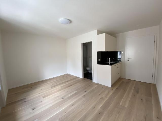 Apartment mieten in Einigen, Zürich