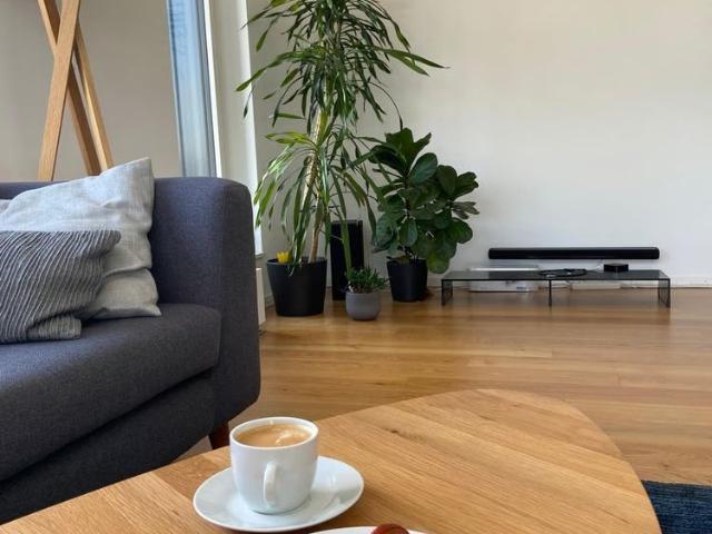 Apartment mieten in Einigen, Zürich