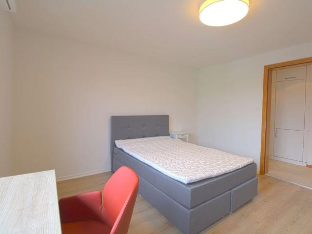Studio mieten in Wallisellen, Bezirk Bülach