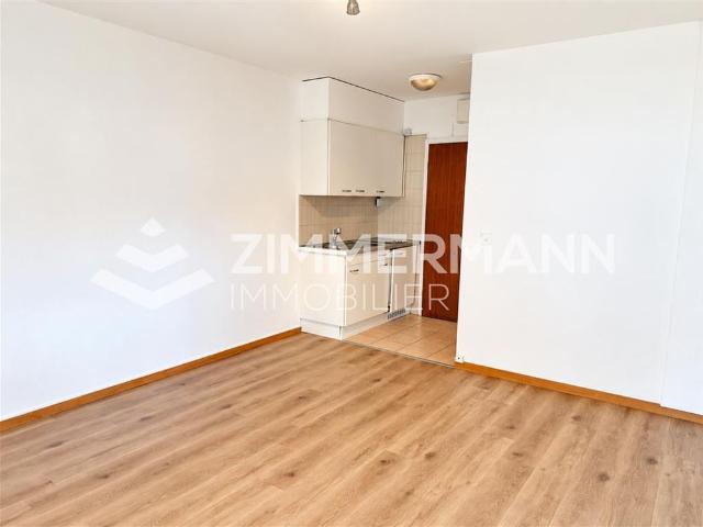 Apartment mieten in Lausanne, District de Lausanne